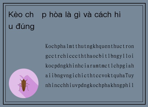 Kèo chấp hòa là gì và cách hiểu đúng