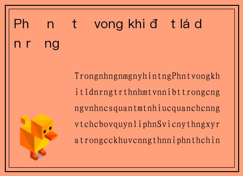Phụ nữ tử vong khi đốt lá dọn rừng